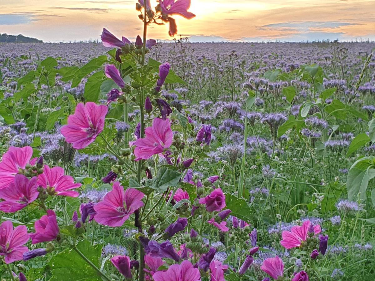 Fewo Purper Frauenberg Esterno foto
