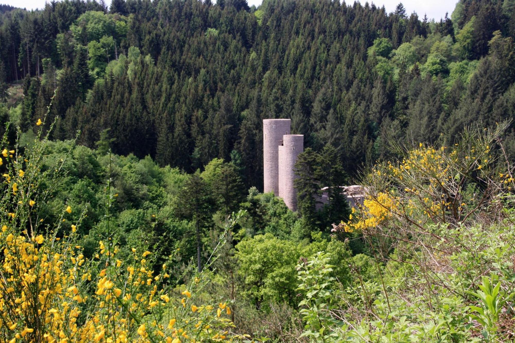 Fewo Purper Frauenberg Esterno foto