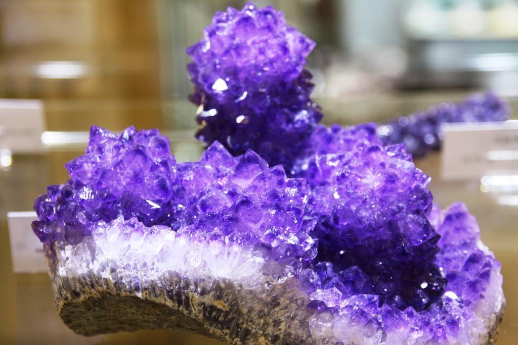 Fewo Purper Frauenberg Esterno foto