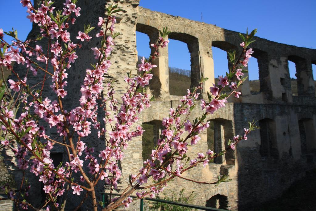 Fewo Purper Frauenberg Esterno foto